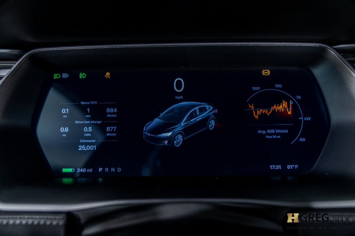 2019 Tesla Model X 100D #39