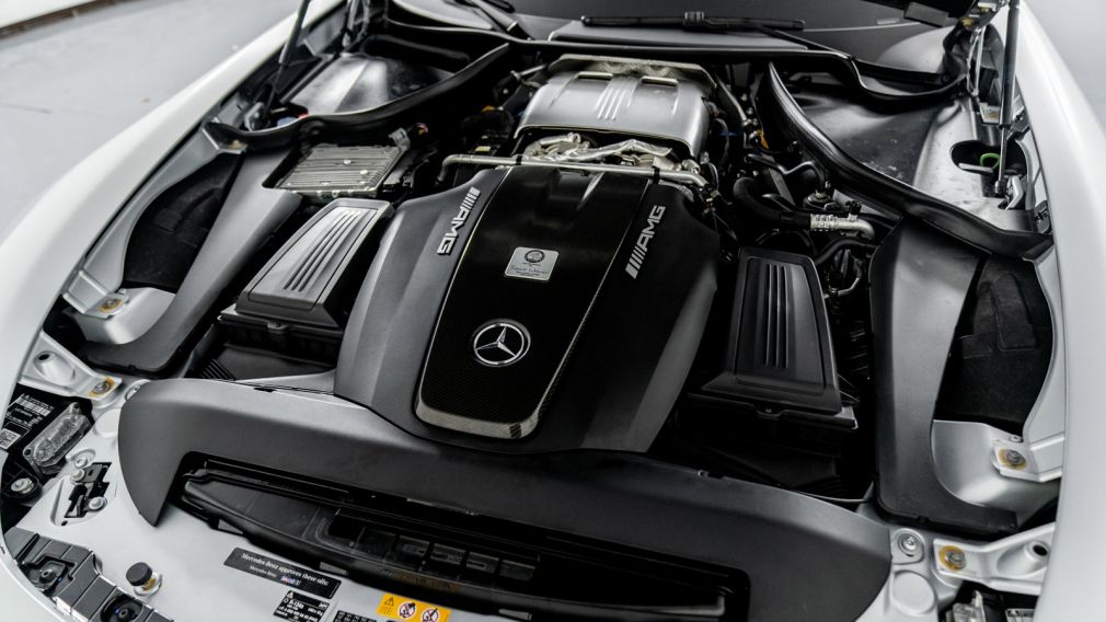 2018 Mercedes Benz AMG GT AMG GT R #45