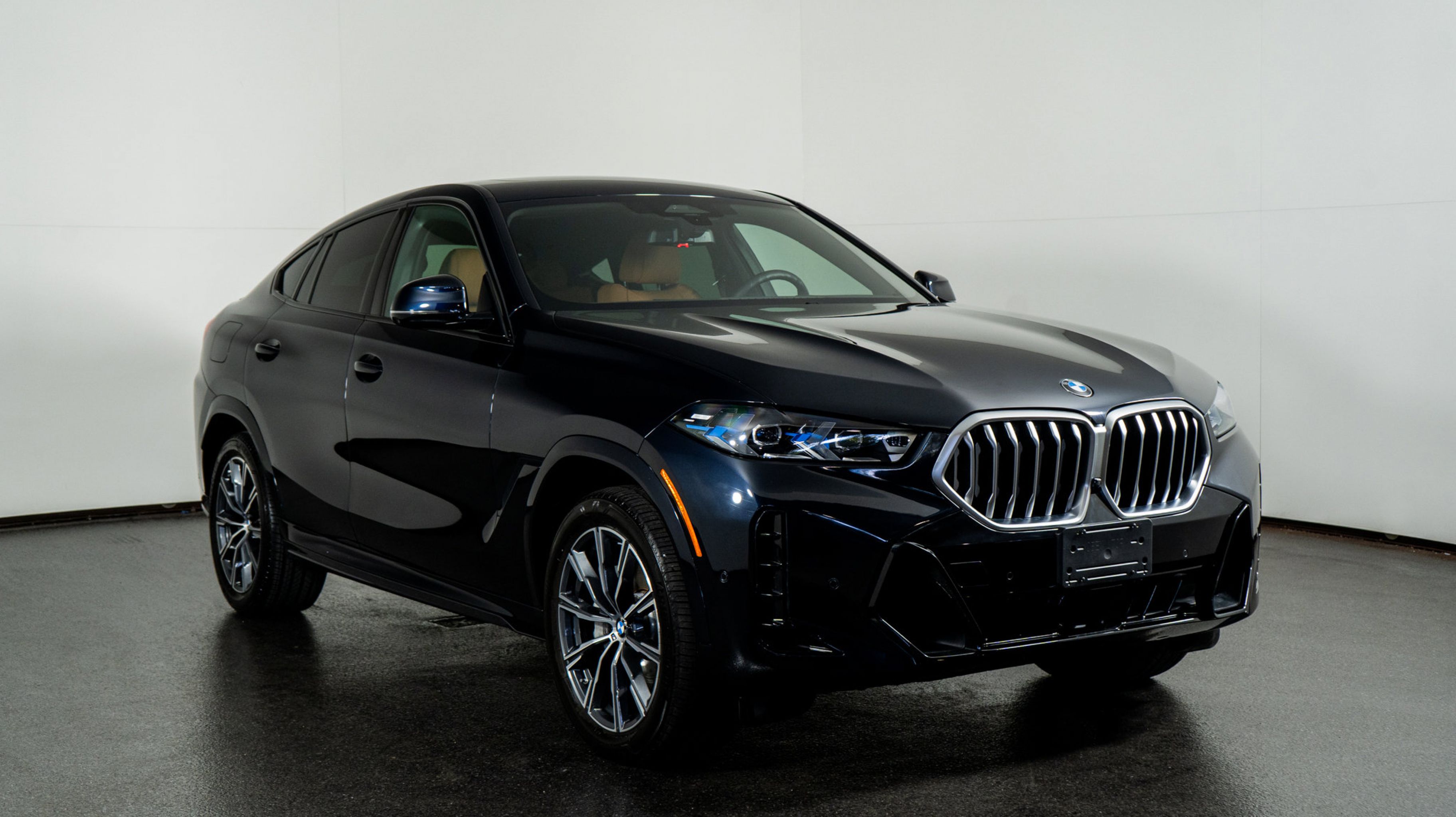 2025 Bmw X6 xDrive40i photo 4